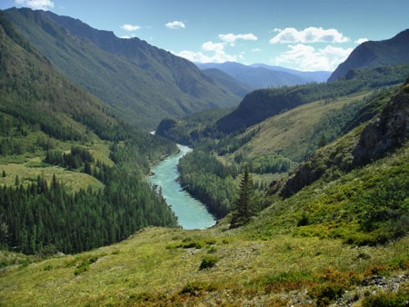 Important Find Relating to Dogs in The Altai Mountains of Mongolia