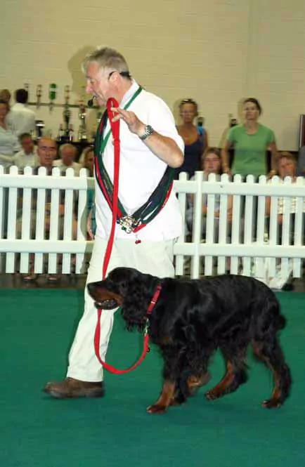 Me at the Just Dogs Live at the East of england Showground