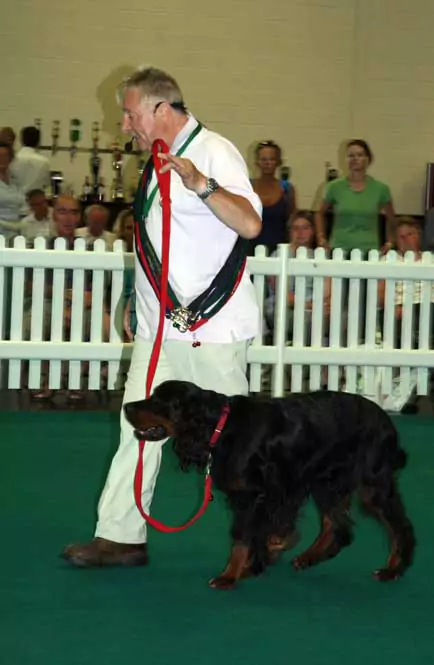 Me At Just Dogs Live Training A Dog To Heel I Had Never Met Before In Under 2 Minutes. 