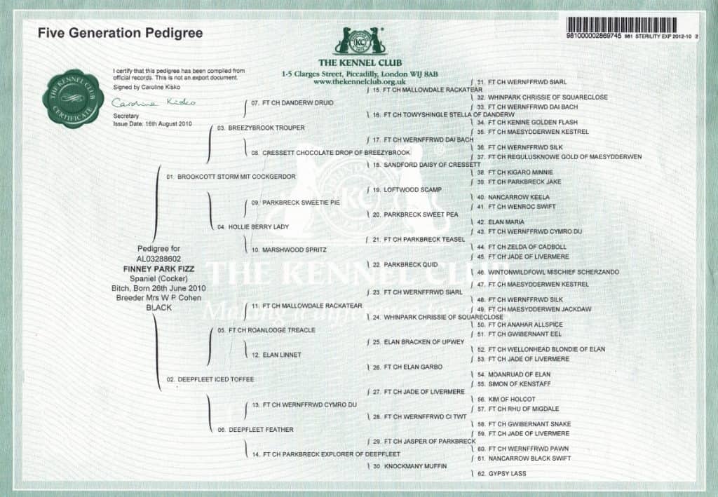 Fizzs Pedigree