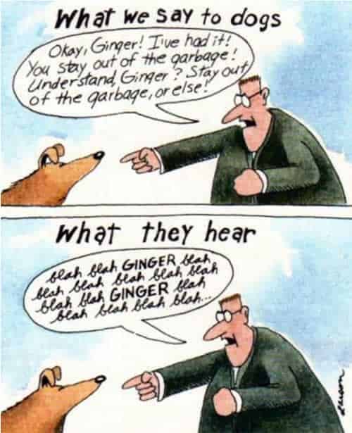 dog communication cartoon