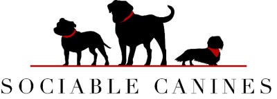Sociable Canines the answer to all your dog sitting and walking problems