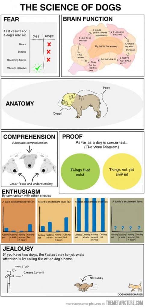 The Science of Dogs