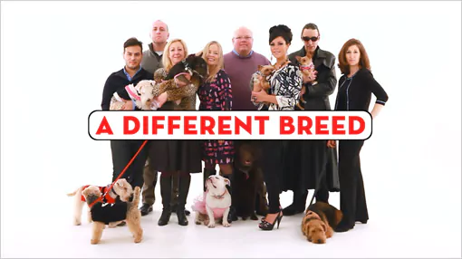 A Different Breed Sky1 Dogumentary