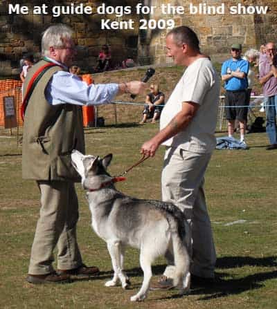 Stan Rawlinson Doing Guide Dogs For The Blind Show Kent