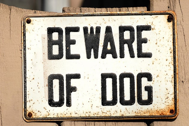 New Legislation October 2014 and Dog Control Orders