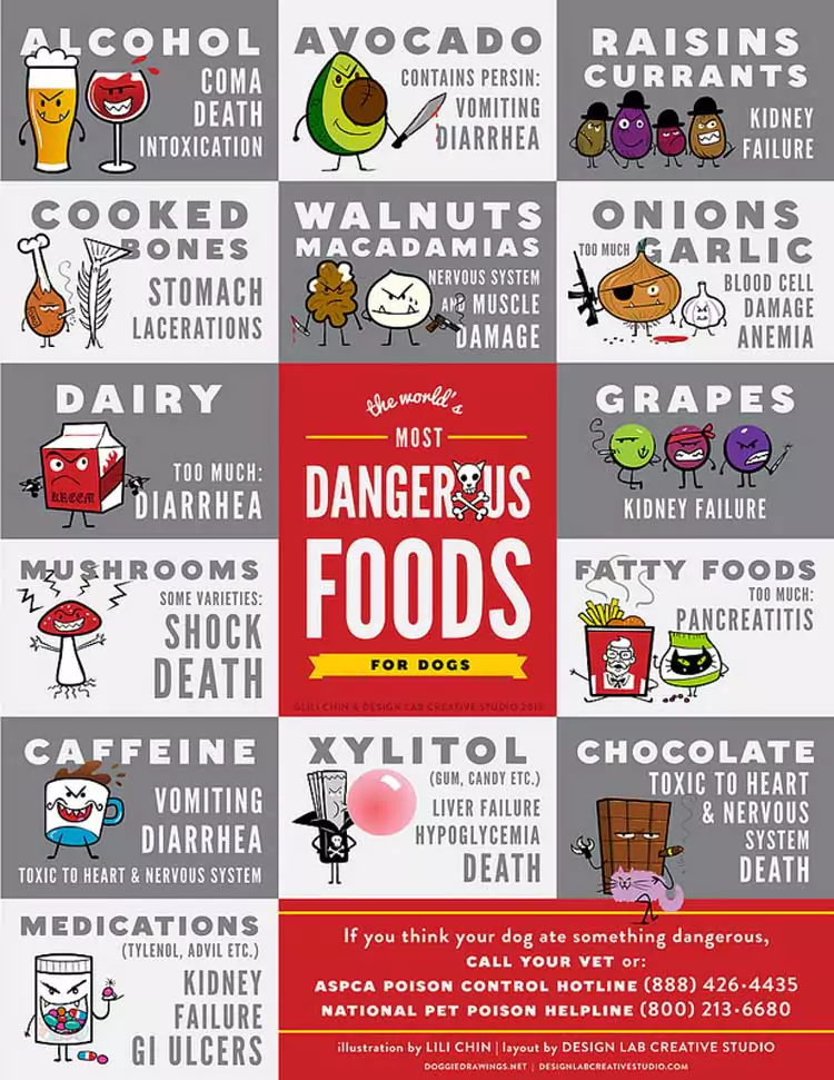 Poster Depicting Types of Food Poisonous to Your Dog