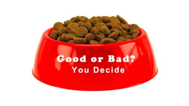 The decision in the end is yours on what you feed your dogs