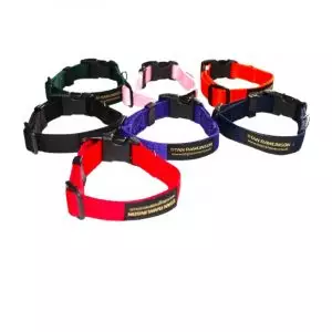 Leads Collars & Harnesses